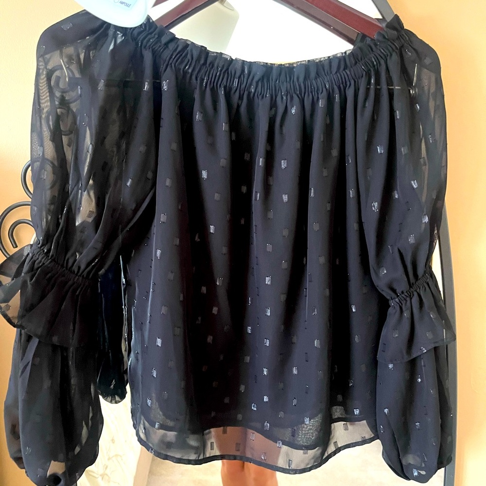 Shimmery off shoulder blouse